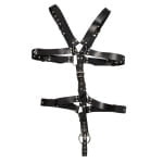 20102591151 andriko dermatino kormaki daxtylidi peous harness body 5
