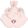 Intimate Spreader - Image 5