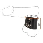 Ball Stretcher with D-Ring - Image 8