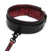 Sweet Anticipation Collar and Lead - Image 4