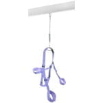 Fantasy Swing - Image 3