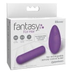 her rechargeable remote controlled bullet