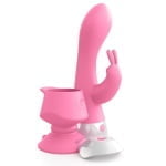 wall banger rabbit - Image 2