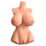 Perfect 10 Torso - Image 2