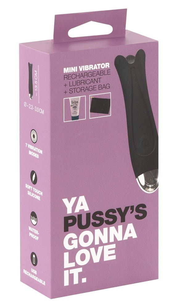 Mini Vibrator + Lubricant + Storage Bag