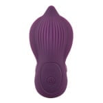 RC Shaking Panty Vibe - Image 5