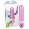 Vibe Therapy Quantum - Image 4