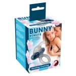 Vibrating cock ring with remote control