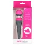 PalmPower Massager