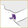 Flutter Butterfly - Image 8