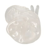 Penis Sleeve with Clitoris Stimulator - Image 7