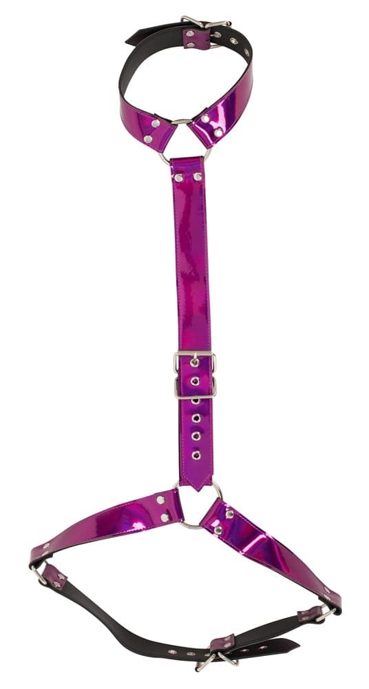Body Harness - Image 2