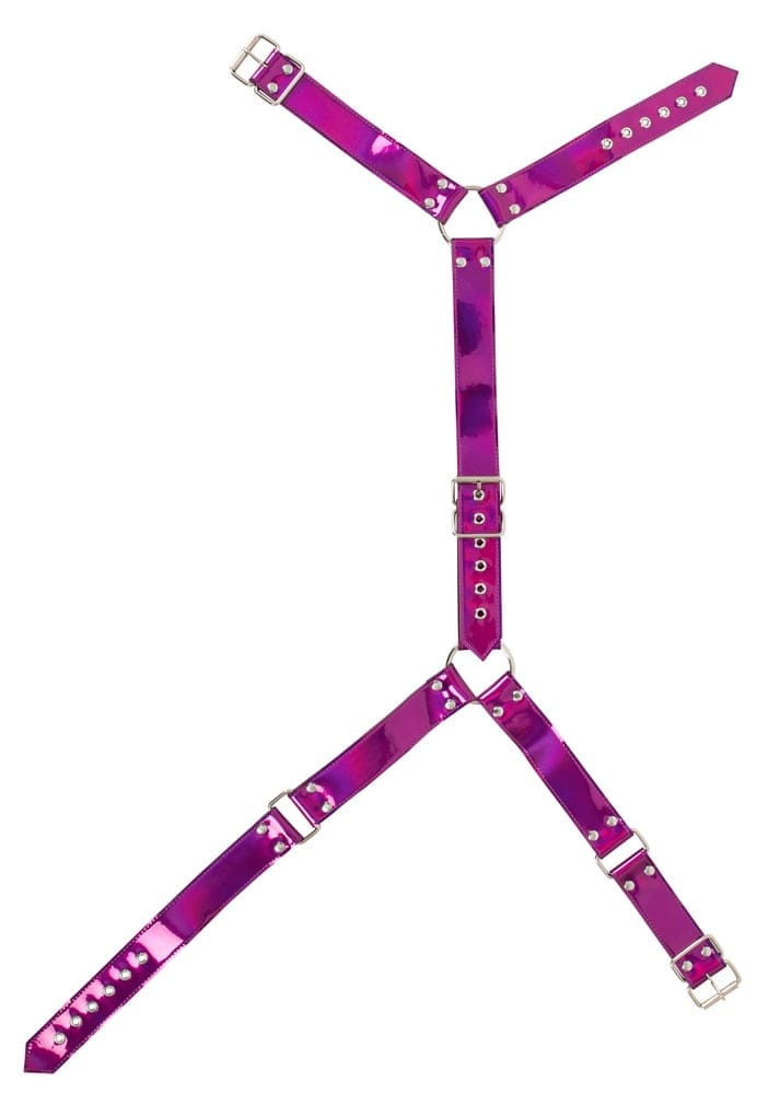 Body Harness - Image 3