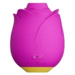 Rosy Toy Αιδοίου & Κλειτορίδας Romp