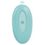 Μίνι Δονητής RC Panty Vibrator