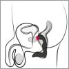 Δονητής Προστάτη Prostate Vibrator