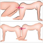Διπλός Δονητής Σφήνα 2in1 Vibrator + Butt Plug