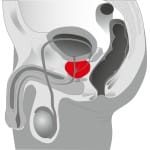Δονητής Προστάτη Massager Prostate Twister