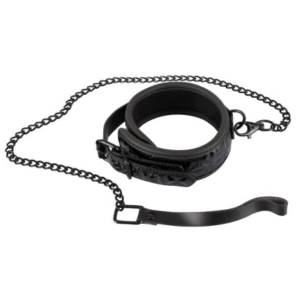 Κολάρο Με Λουρί Collar with Leash