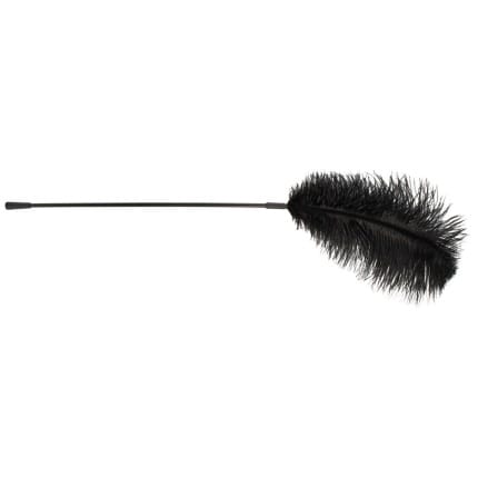 Ραβδί με Φτερό Feather Wand