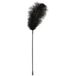 Ραβδί με Φτερό Feather Wand