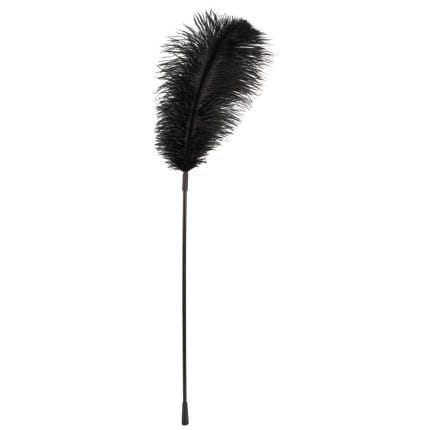 Ραβδί με Φτερό Feather Wand