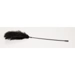 Ραβδί με Φτερό Feather Wand
