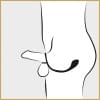 butt plug