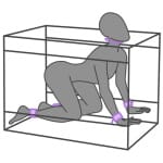 Κουτί BDSM με 3 Οπές και Δεσίματα La Niche sex shop