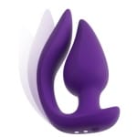 sex shop RC 2 in 1 Plug & Panty Vibe
