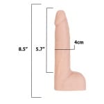 sex shop Naked Addiction